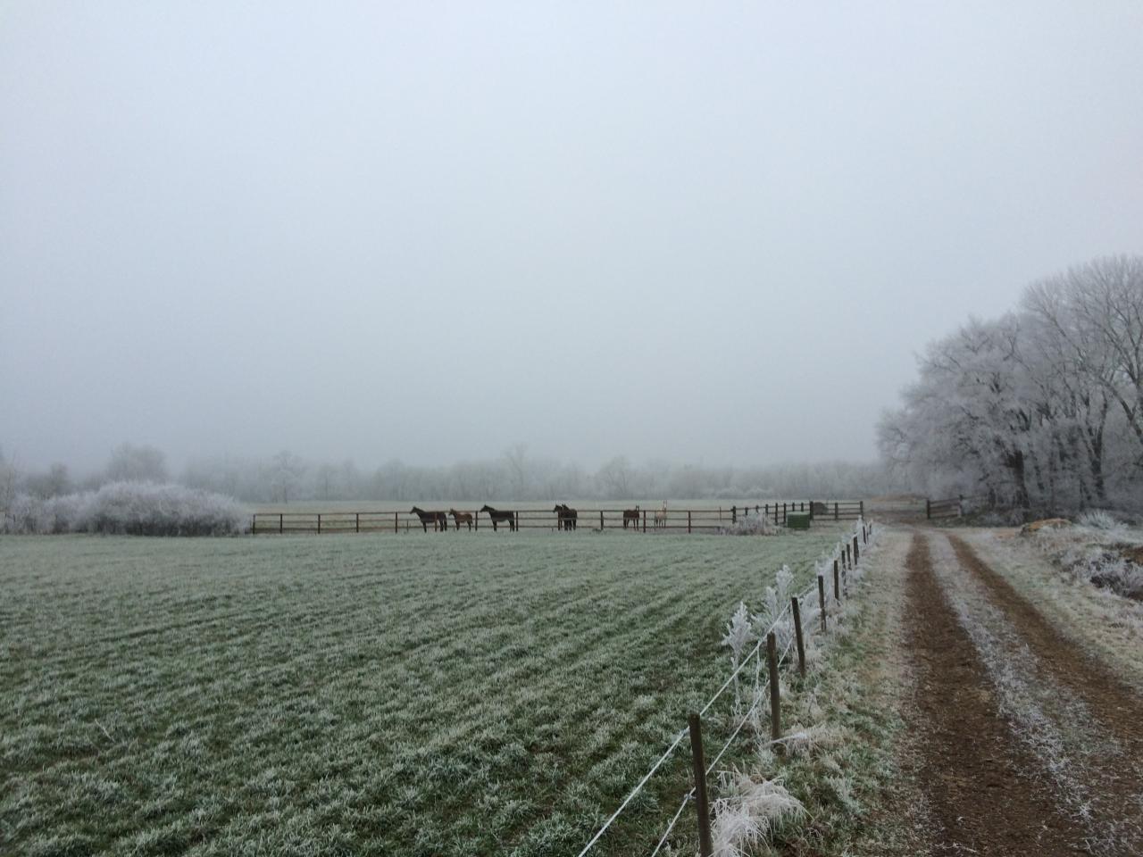 givre