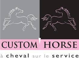 Custom horse